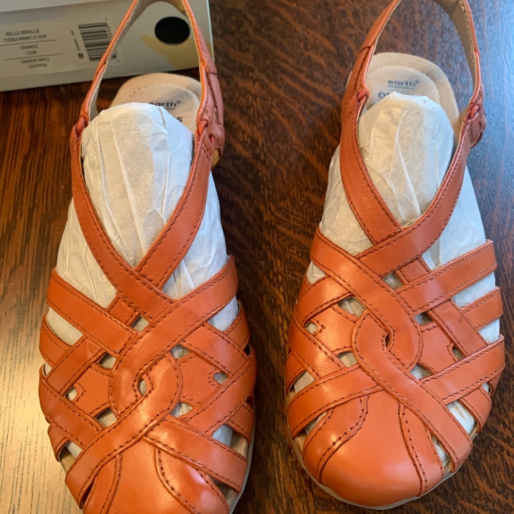 Earth Origins Belle Brielle shoes- new in box